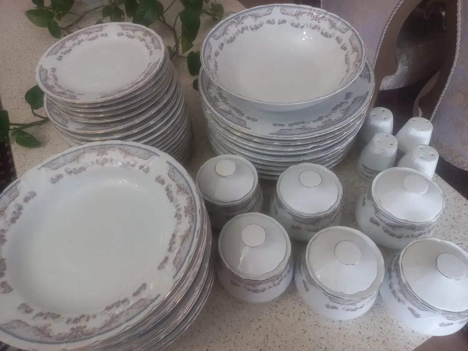 سرویس چینی طرح مرجان|ظروف سرو و پذیرایی|اردبیل, |دیوار