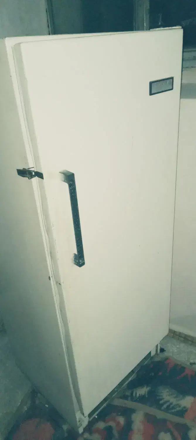 یک یخچال ده فوت ارج و یک گاز پنج شعله|اجاق گاز و لوازم برقی پختوپز|بجنورد, |دیوار
