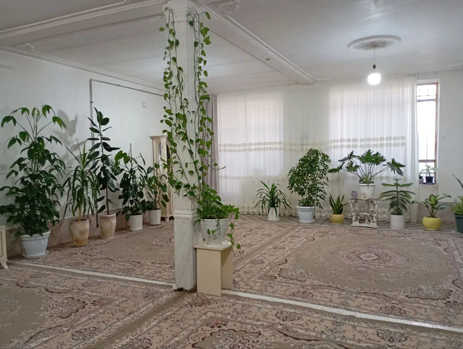 فروش،خانه ی ویلایی|فروش خانه و ویلا|تربتحیدریه, رضاشهر|دیوار