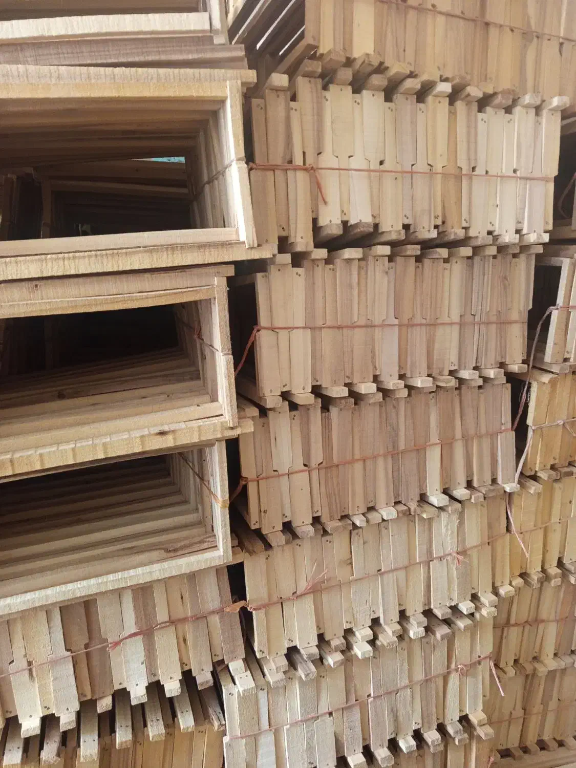 رامکا.  زنبور   کندو|فعالیت داوطلبانه|سیلوانه, |دیوار