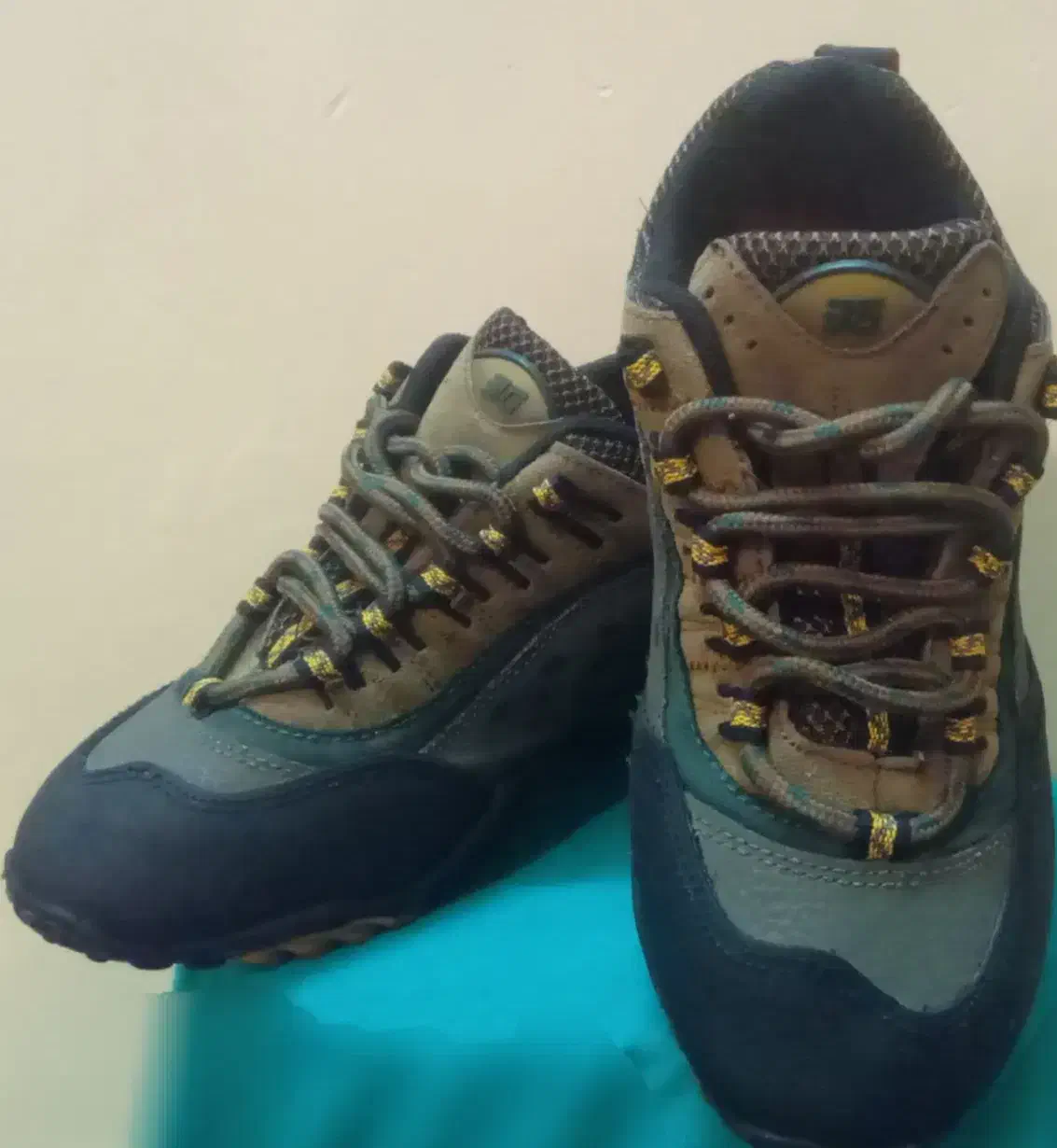 کفش کوهنوردی وپیاده روی|کیف، کفش، کمربند|همدان, |دیوار