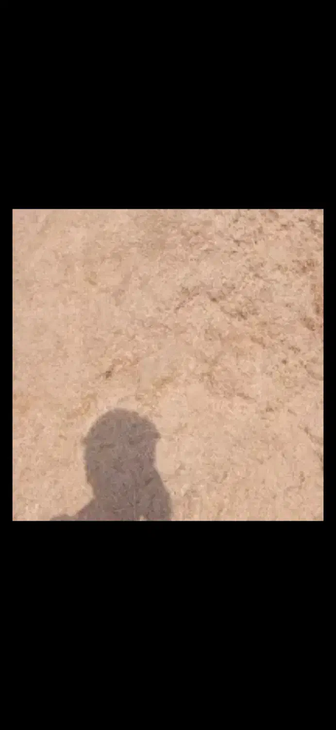 کاه نرم درجه یک گندم و جو|حیوانات مزرعه|گرمی, |دیوار