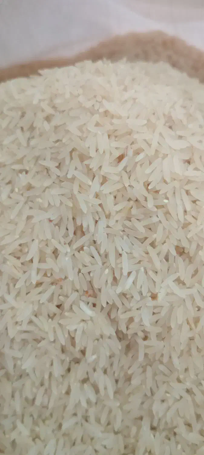 برنج محلی فجر سوزنی|خوردنی و آشامیدنی|سیمین شهر, |دیوار