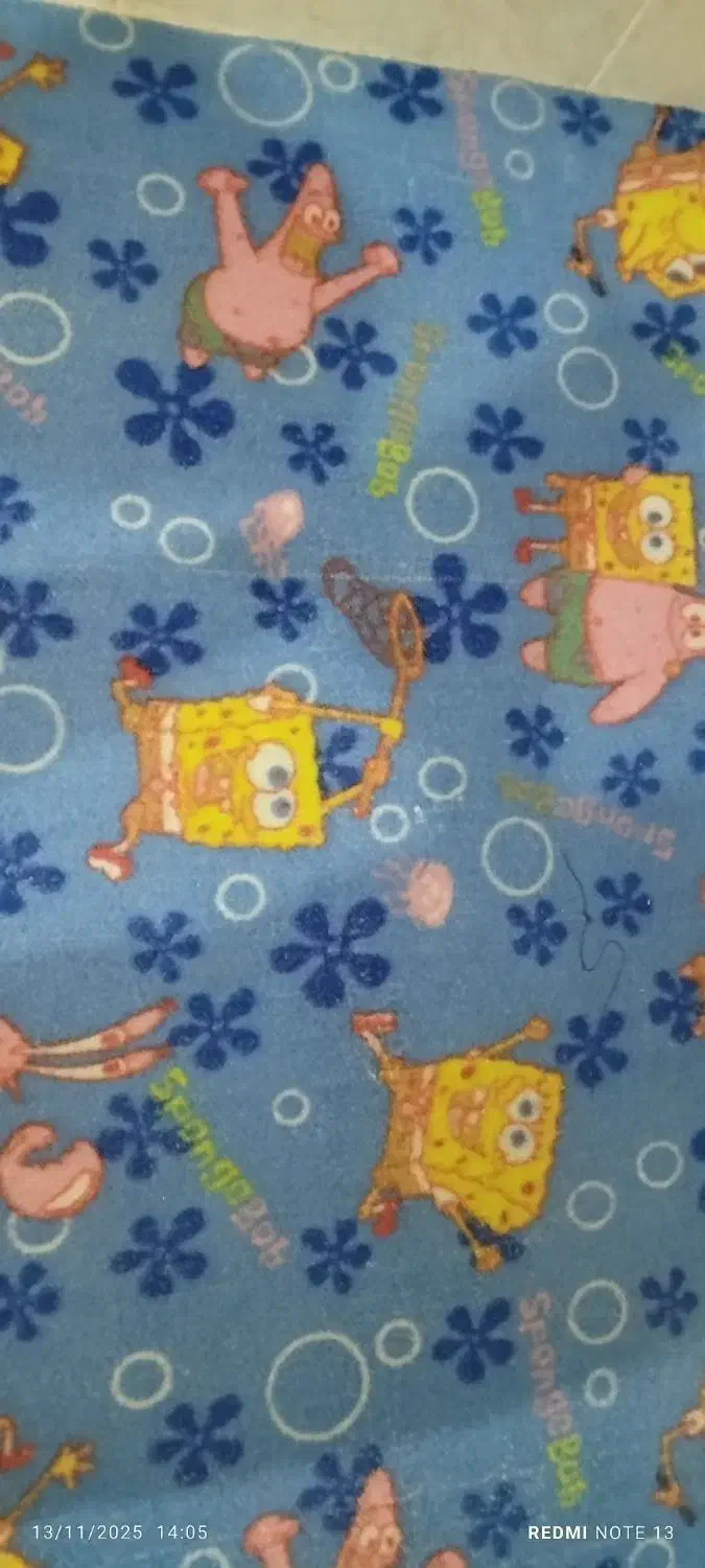 فرش وموکت|فرش|زابل, |دیوار