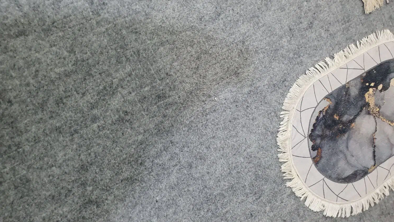 موکت طوسی|موکت|بجنورد, |دیوار