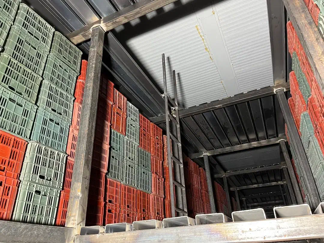 سبد پلاستیکی میوه|ظروف نگهدارنده، پلاستیکی، یکبارمصرف|نوشهر, |دیوار