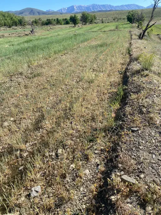 زمین کشاورزی مناسب گلخانه، باغ و باغچه|فروش دفتر صنعتی، کشاورزی، تجاری|خمین, |دیوار