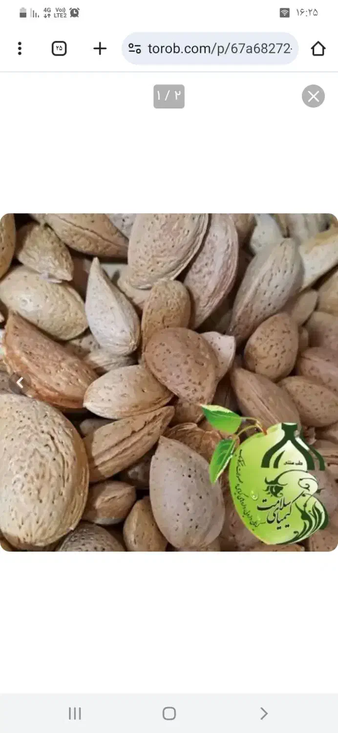 بادام تلخ سنگی|حراج|شیراز, آبیاری|دیوار