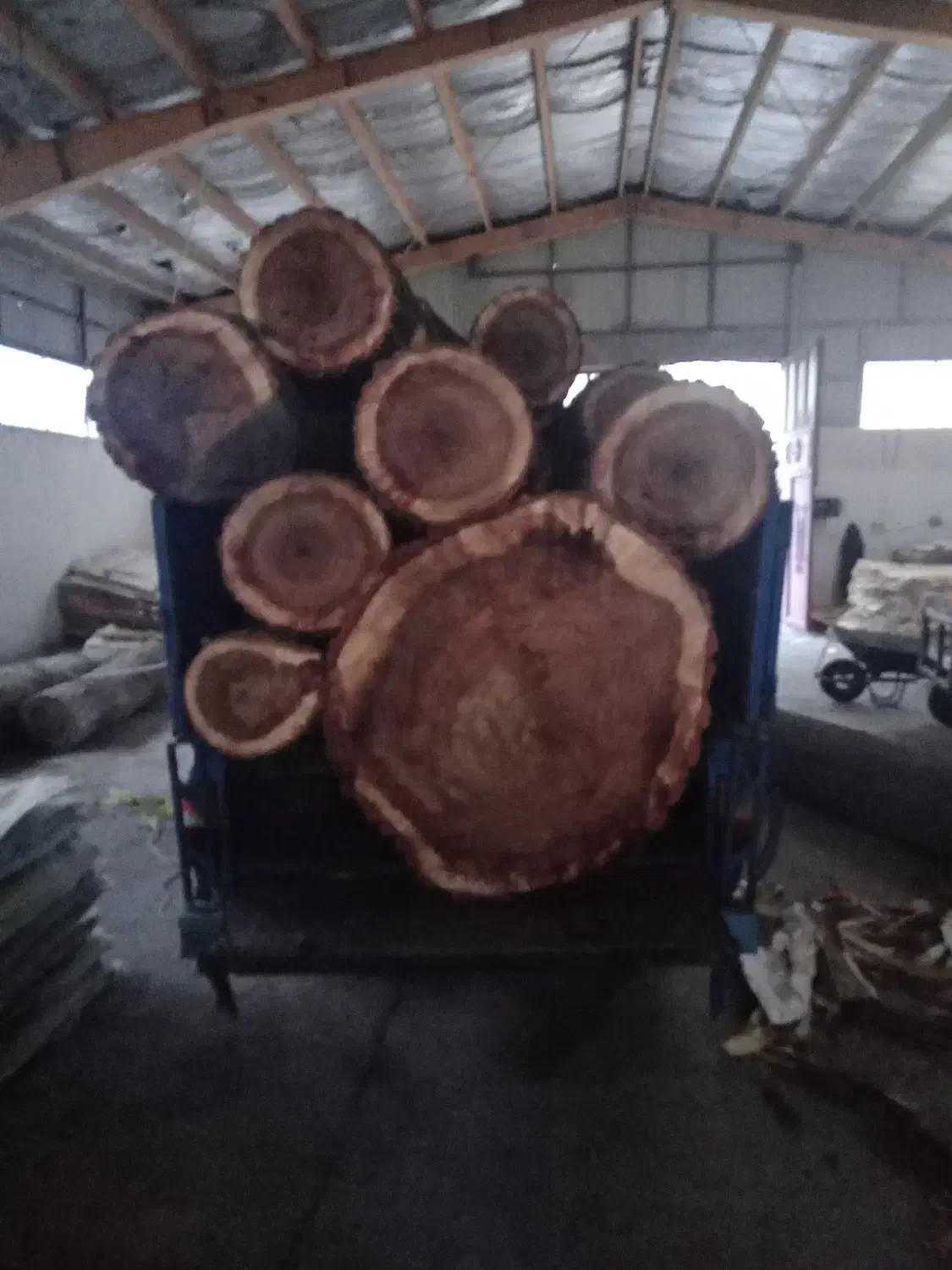 خرید انواع چوب|خدمات باغبانی و درختکاری|سراب, |دیوار