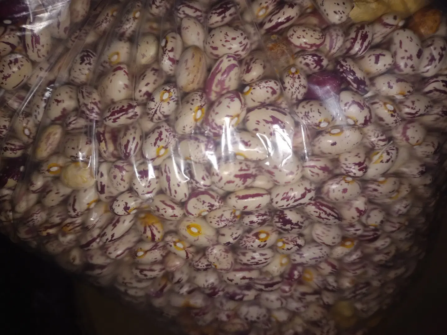ماش|خوردنی و آشامیدنی|جلفا, |دیوار