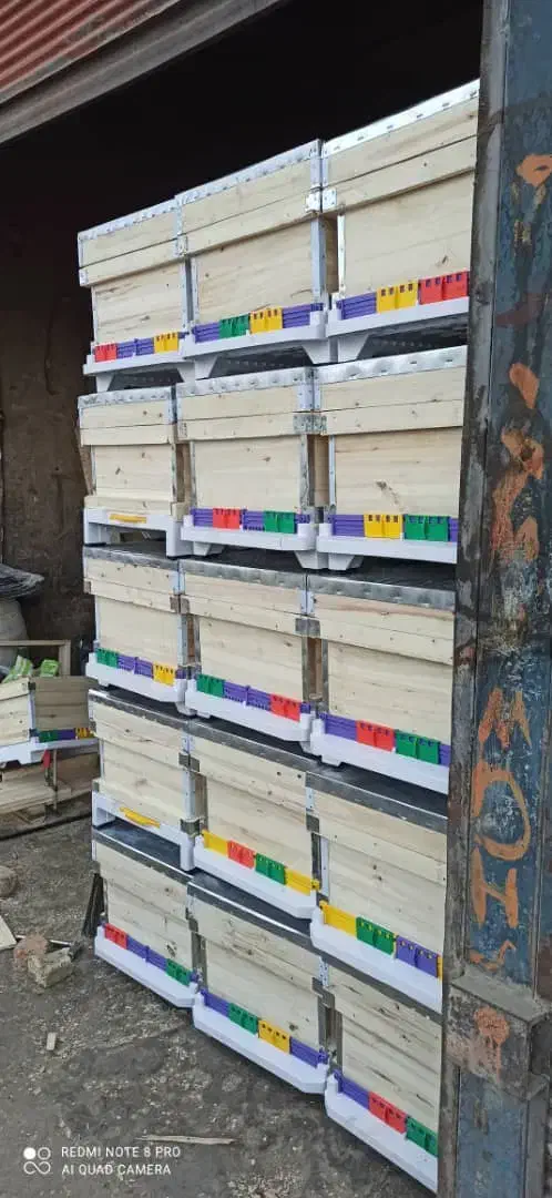 جعبه کندو،طبق،قاب|عمده‌فروشی|خرم‌آباد, |دیوار