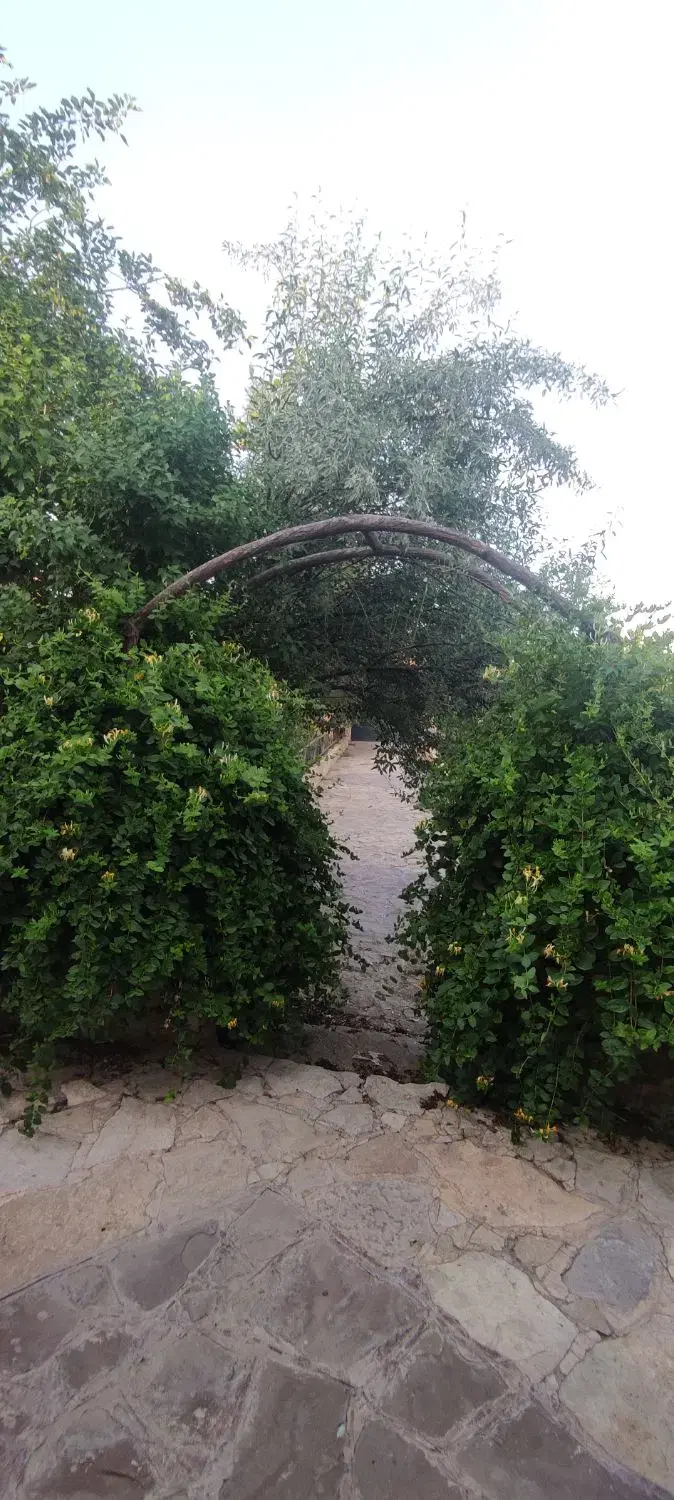تصویر 7