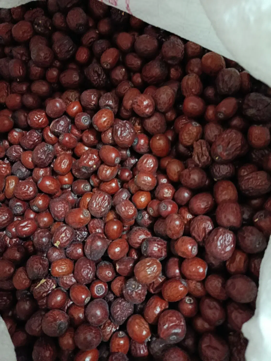 عناب|خوردنی و آشامیدنی|بیرجند, |دیوار
