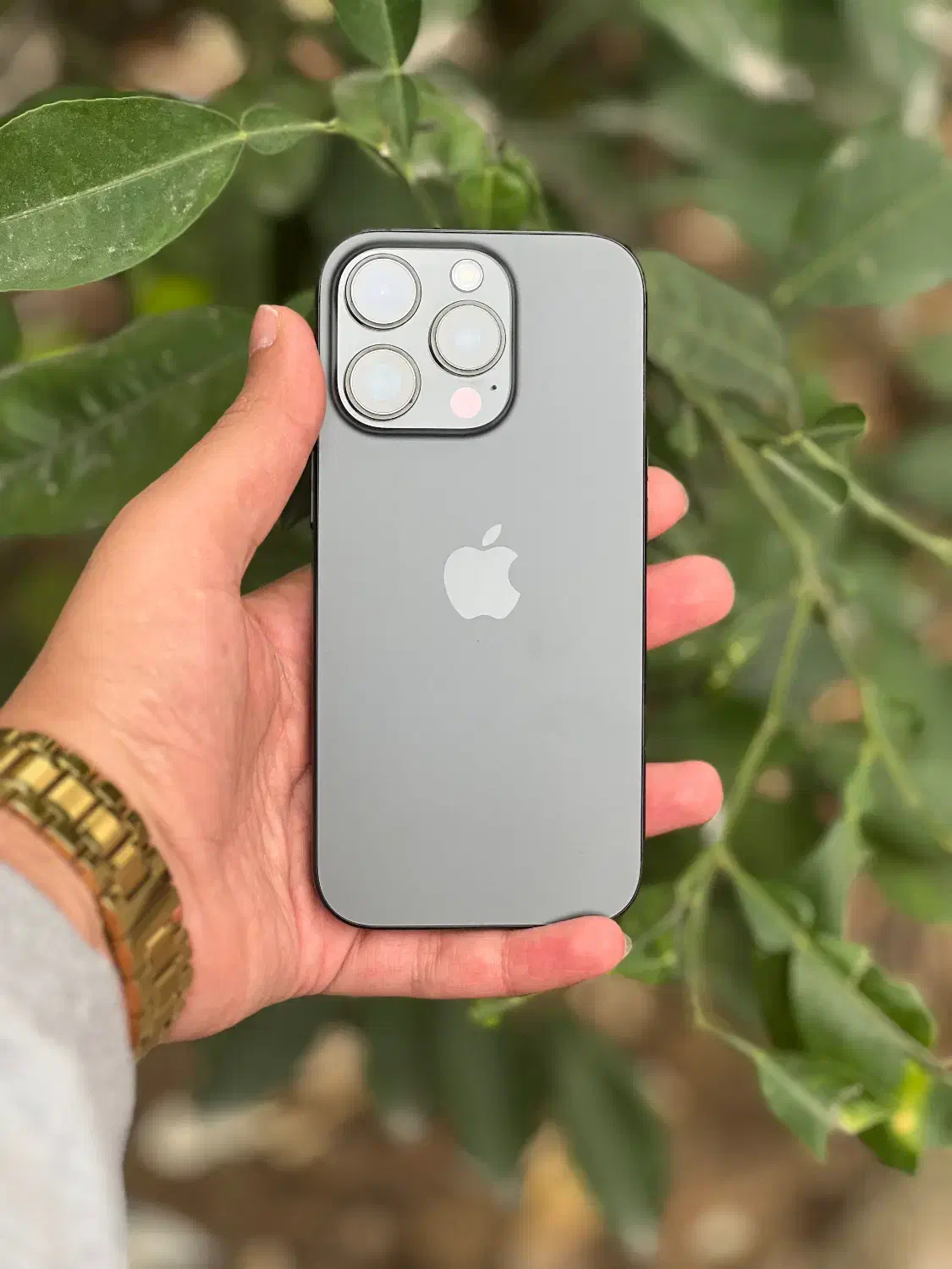 ایفون ۱۶ پرو باطری ۱۰۰ zaa|موبایل|قائمشهر, |دیوار