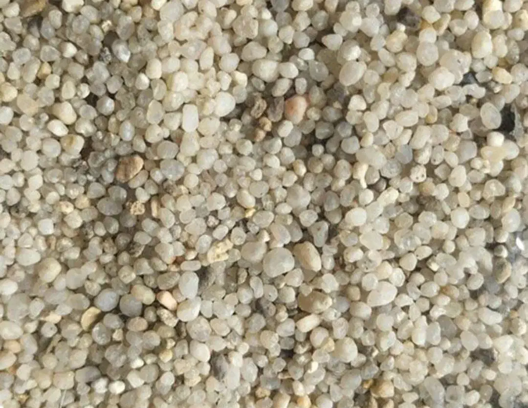 لوازم آکواریوم|ماهی|ارومیه, |دیوار