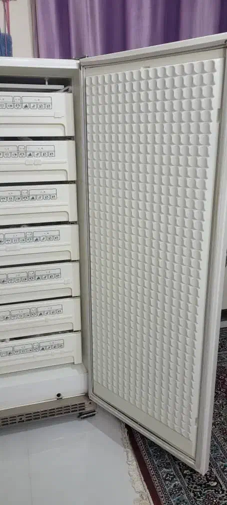 یخچال|یخچال و فریزر|پردیس, فاز ۴|دیوار