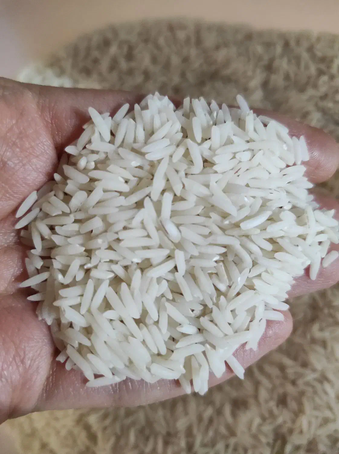 برنج ایرانی|خوردنی و آشامیدنی|مراغه, |دیوار