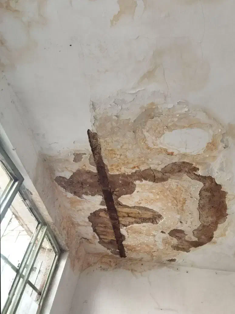 لکهگیری گچکاری وکار کلی گچکاری در کل مشهد|خدمات پیشه و مهارت|مشهد, طلاب|دیوار