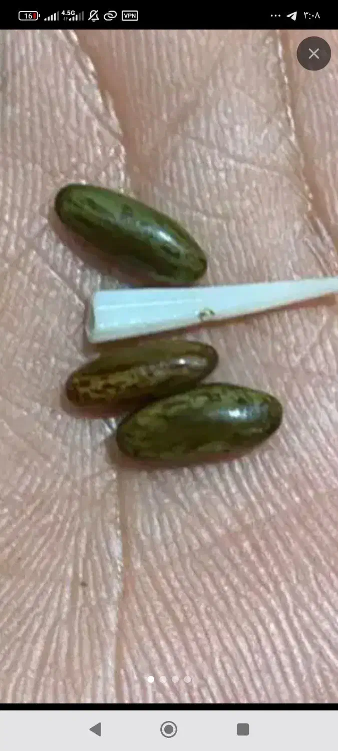 مهره|کلکسیون اشیاء عتیقه|سراوان, |دیوار