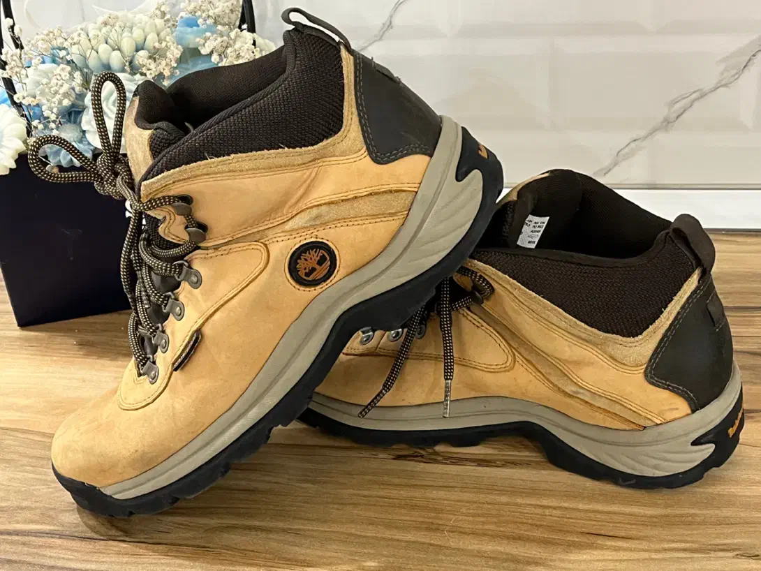 کتونی|کیف، کفش، کمربند|تهران, پرستار|دیوار