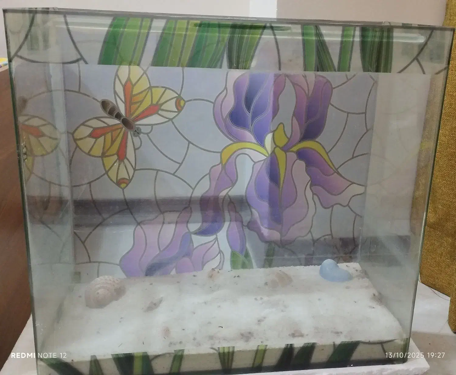 اکواریوم 60*55*30 شیشه خم|ماهی|فردیس, فردیس|دیوار