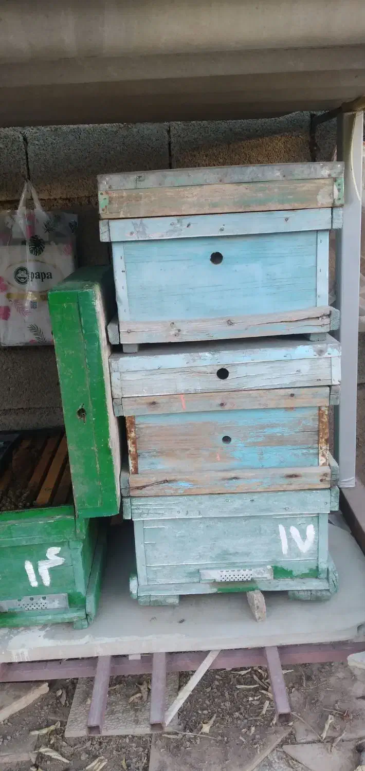 جعبه کندو|لوازم جانبی حیوانات|آبدانان, |دیوار