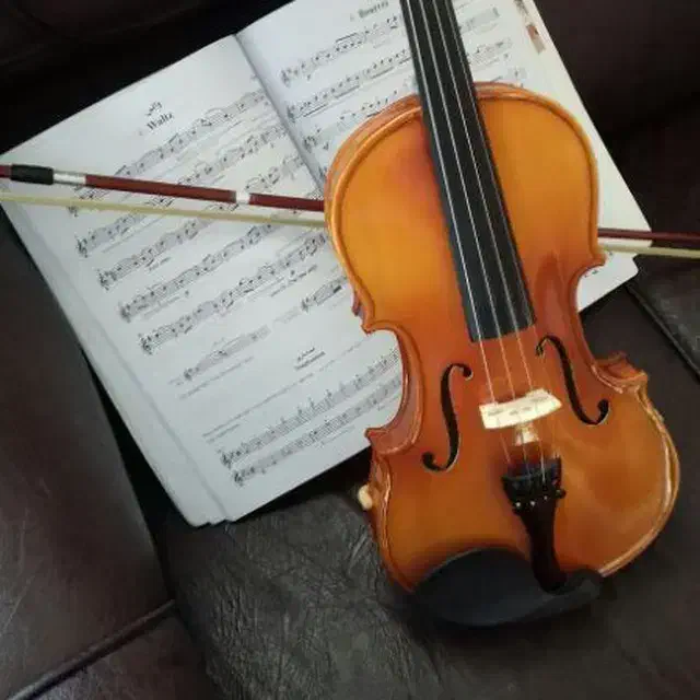 ویولون|ویولن|سنندج, |دیوار