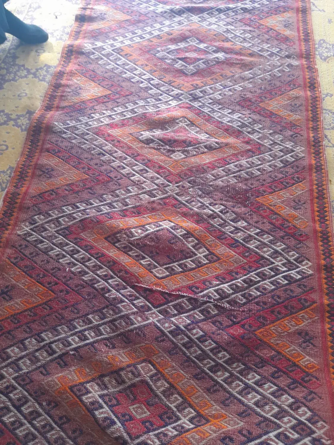 جاجیم قدیمی|گلیم، جاجیم، گبه|ارومیه, |دیوار