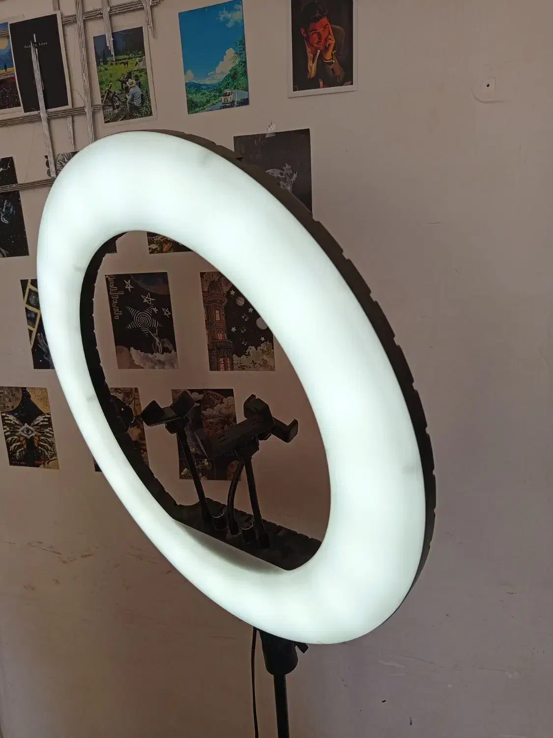 رینگ لایت|ریسه و چراغ تزئینی|کرمانشاه, |دیوار