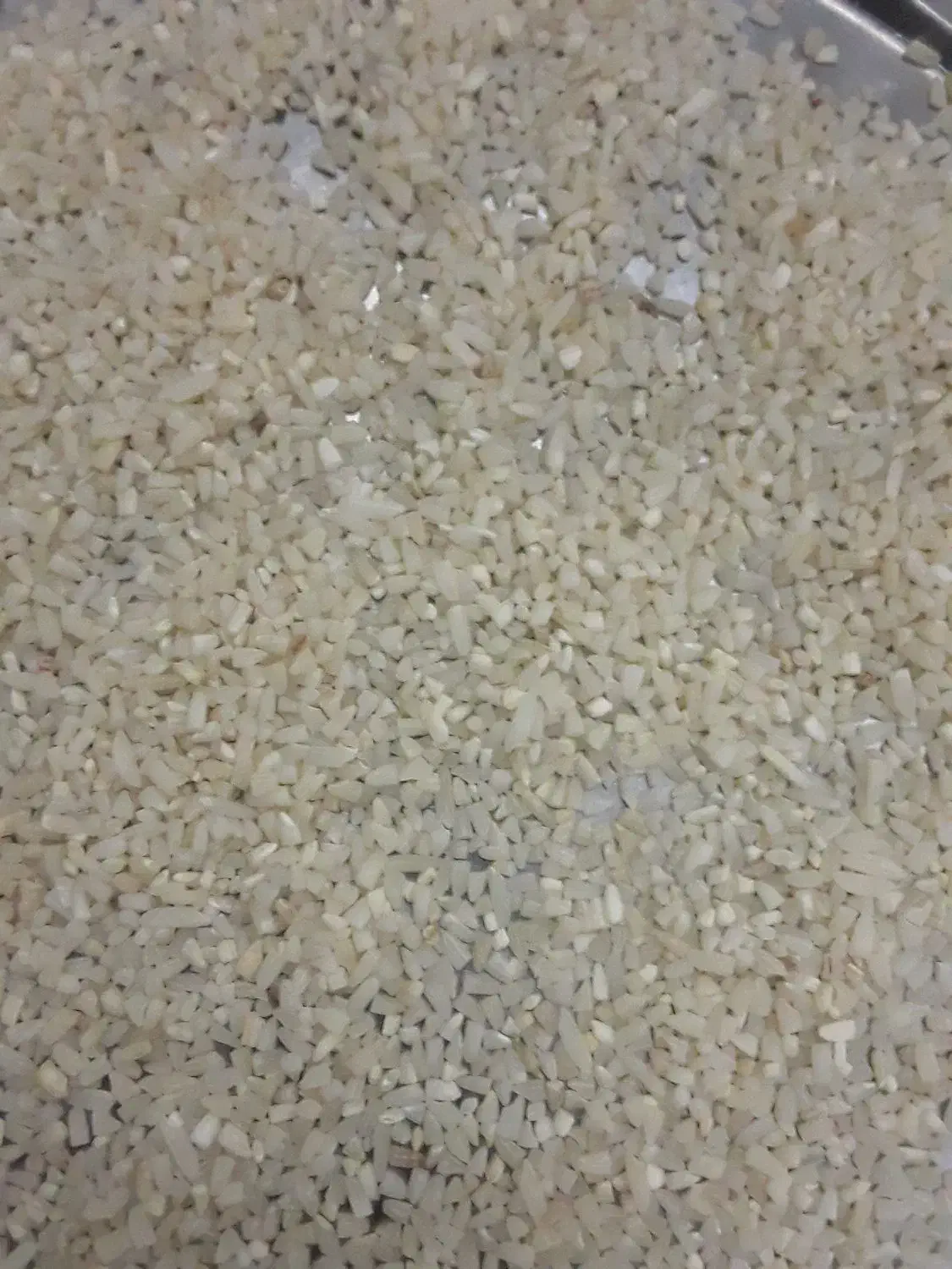 برنج نیم دانه علی کاظمی|خوردنی و آشامیدنی|رشت, پل تالشان|دیوار