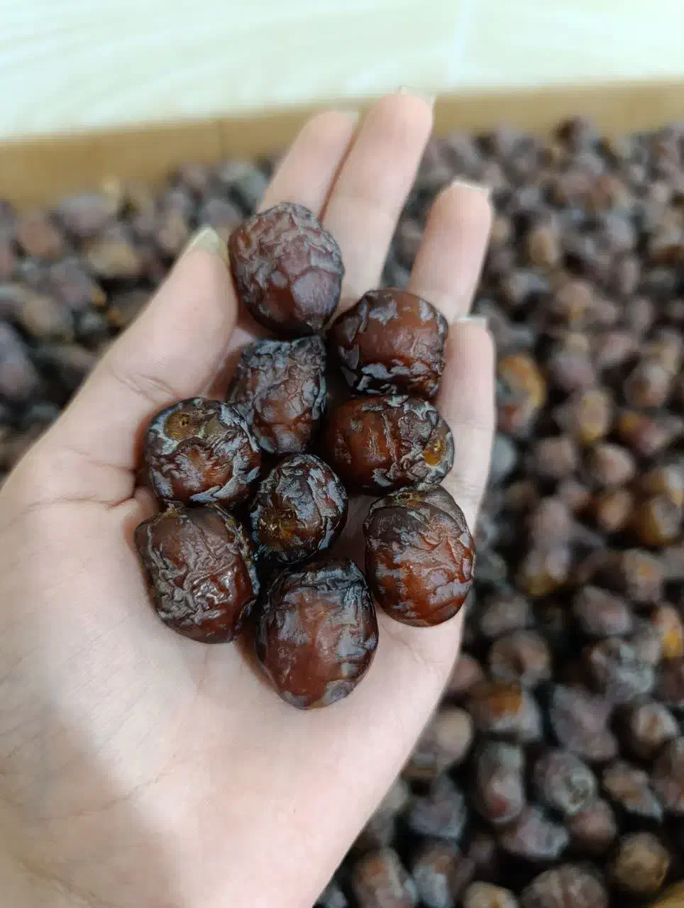 خرما بدون هسته و پیارم دشتستان|خوردنی و آشامیدنی|شاهین‌شهر, عطار|دیوار