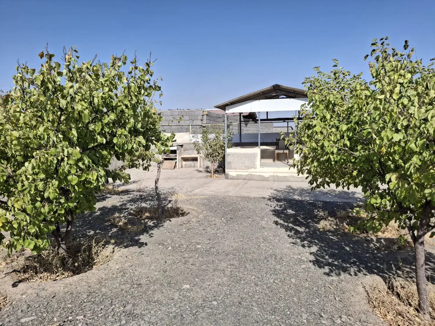 باغ ۷۰۰ متری سوران ناظریه حاشیه مترو گلبهار|فروش زمین و ملک کلنگی|مشهد, میان ولایت|دیوار