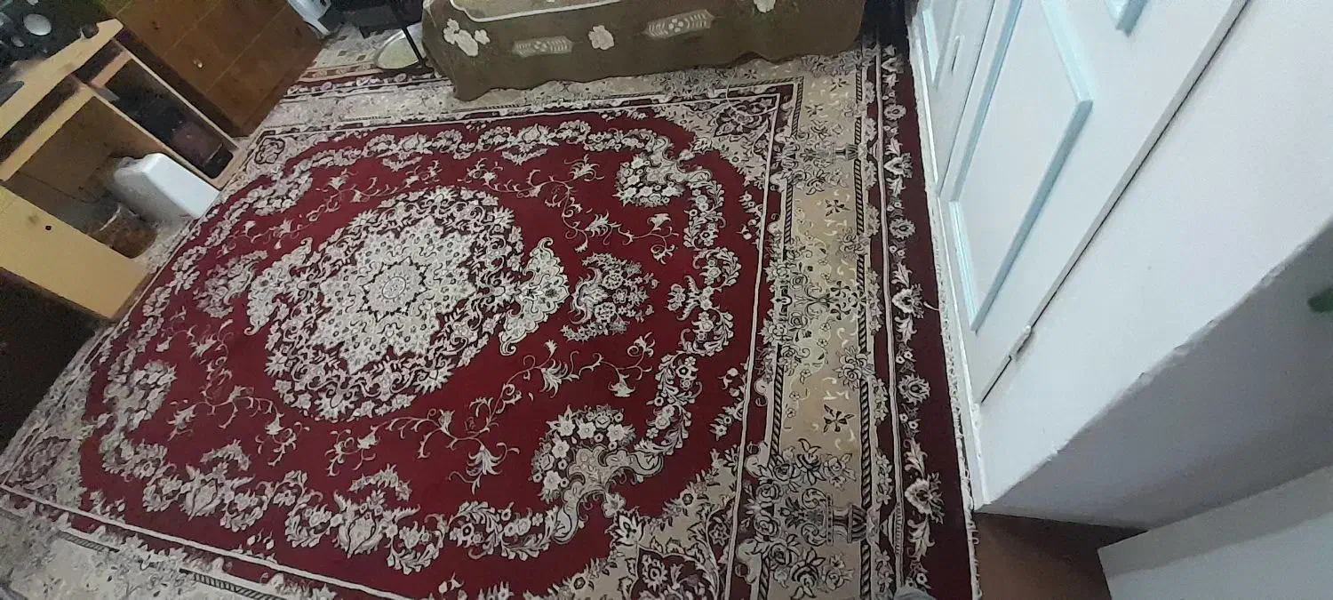فرش نگین مشهد|فرش|زنجان, |دیوار
