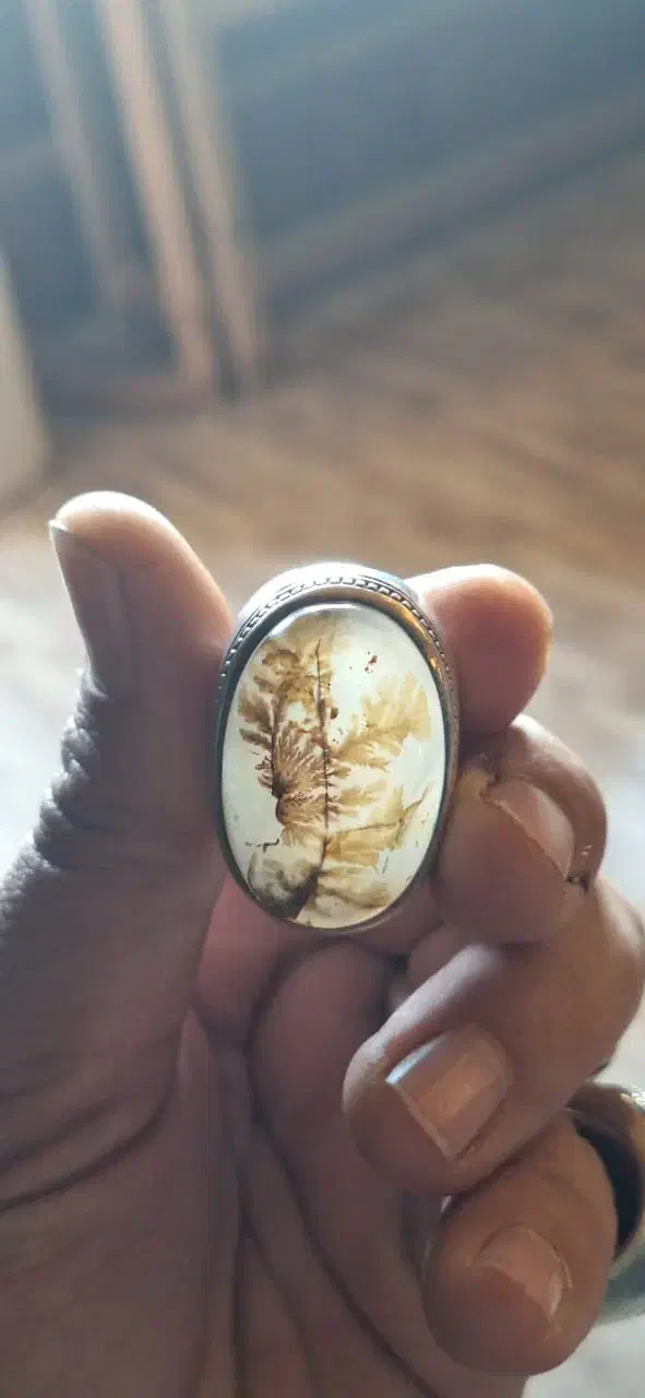 شجر قائن|جواهرات|حمیدیا, |دیوار