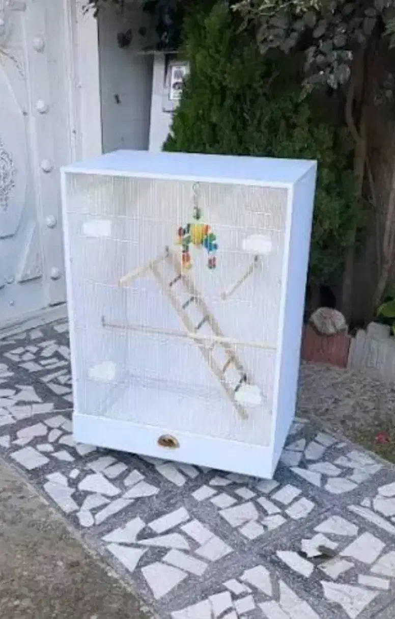 قفس عروس هلندی گرینچیک کوتوله|لوازم جانبی حیوانات|شیراز, شهرک گلستان|دیوار