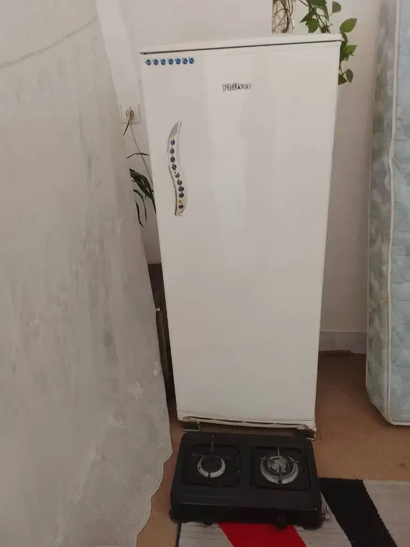 یخچال فلیور و اجاق گاز دو شعله|یخچال و فریزر|گنبد کاووس, |دیوار