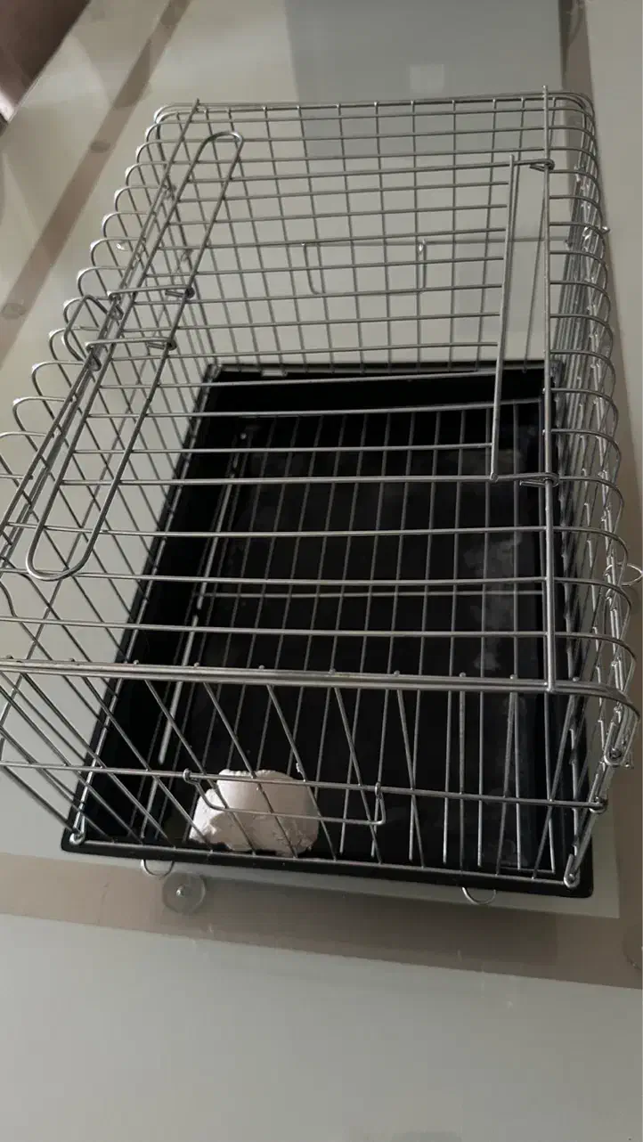 لوازم خرگوش و خوکچه هندی|لوازم جانبی حیوانات|تهران, صادقیه|دیوار