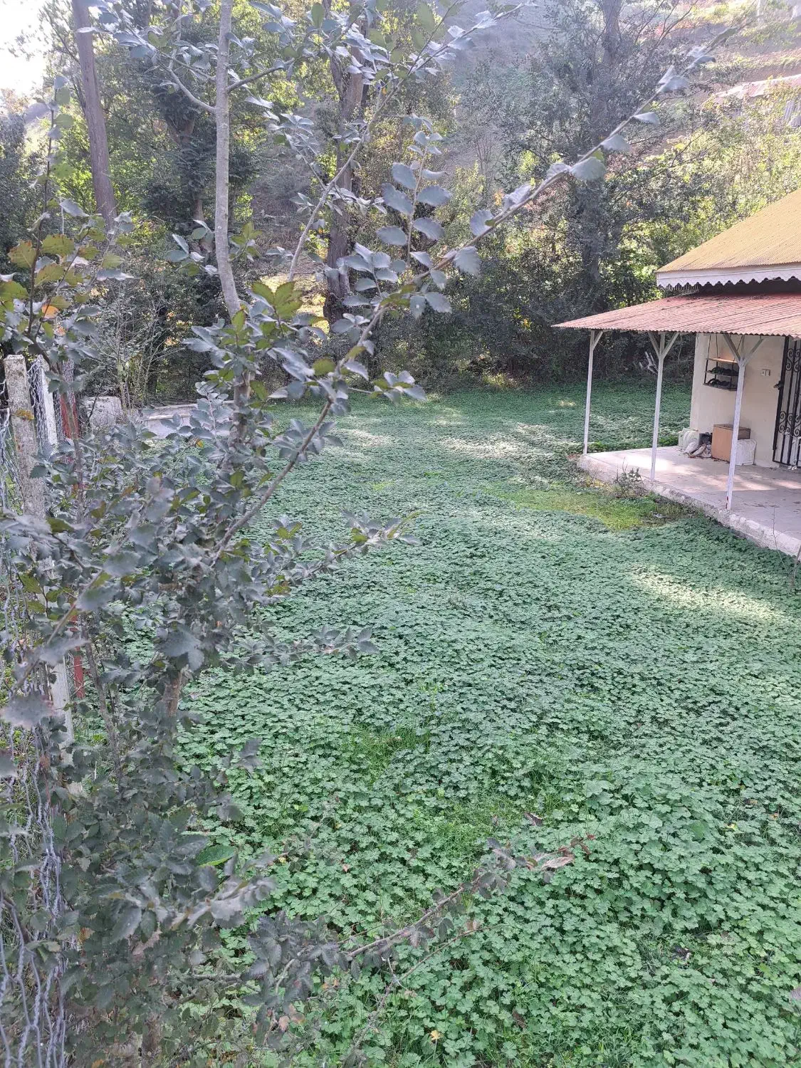 ۷۰۰متر زمین ۸۰ متر بنا ییلاقی جای عالی و زیبا|فروش خانه و ویلا|رضوانشهر, |دیوار