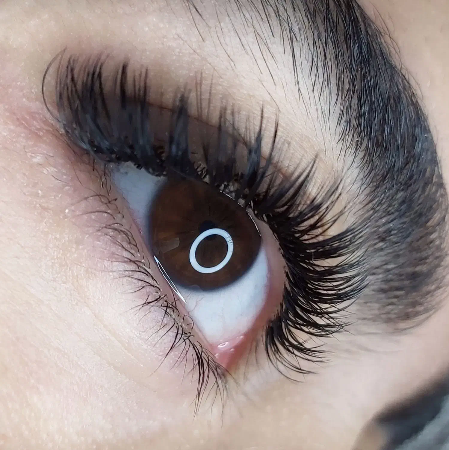 خدمات و آموزش اکستنشن مژه و لیفت ابرو|خدمات آرایشگری و زیبایی|فولادشهر, B4|دیوار