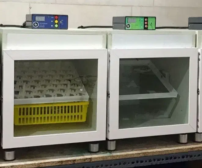 دستگاه جوجه کشی|لوازم جانبی حیوانات|آمل, |دیوار