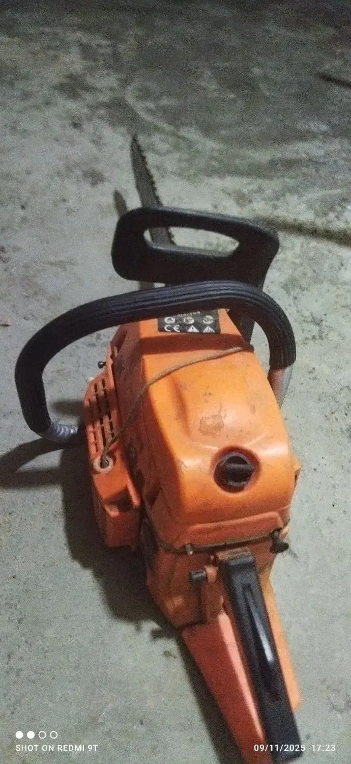 هرس و بریدن انواع درختان رایگان|خدمات باغبانی و درختکاری|بم, |دیوار