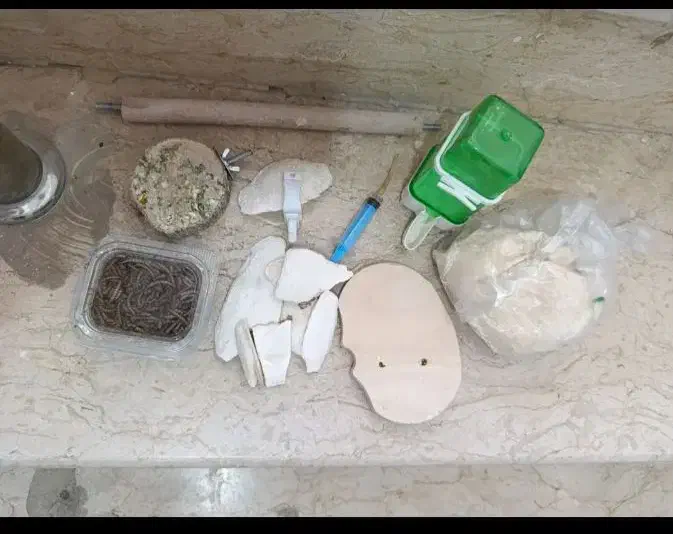 غذای عروس هلندی و وسایل|لوازم جانبی حیوانات|قدس, شهرقدس|دیوار