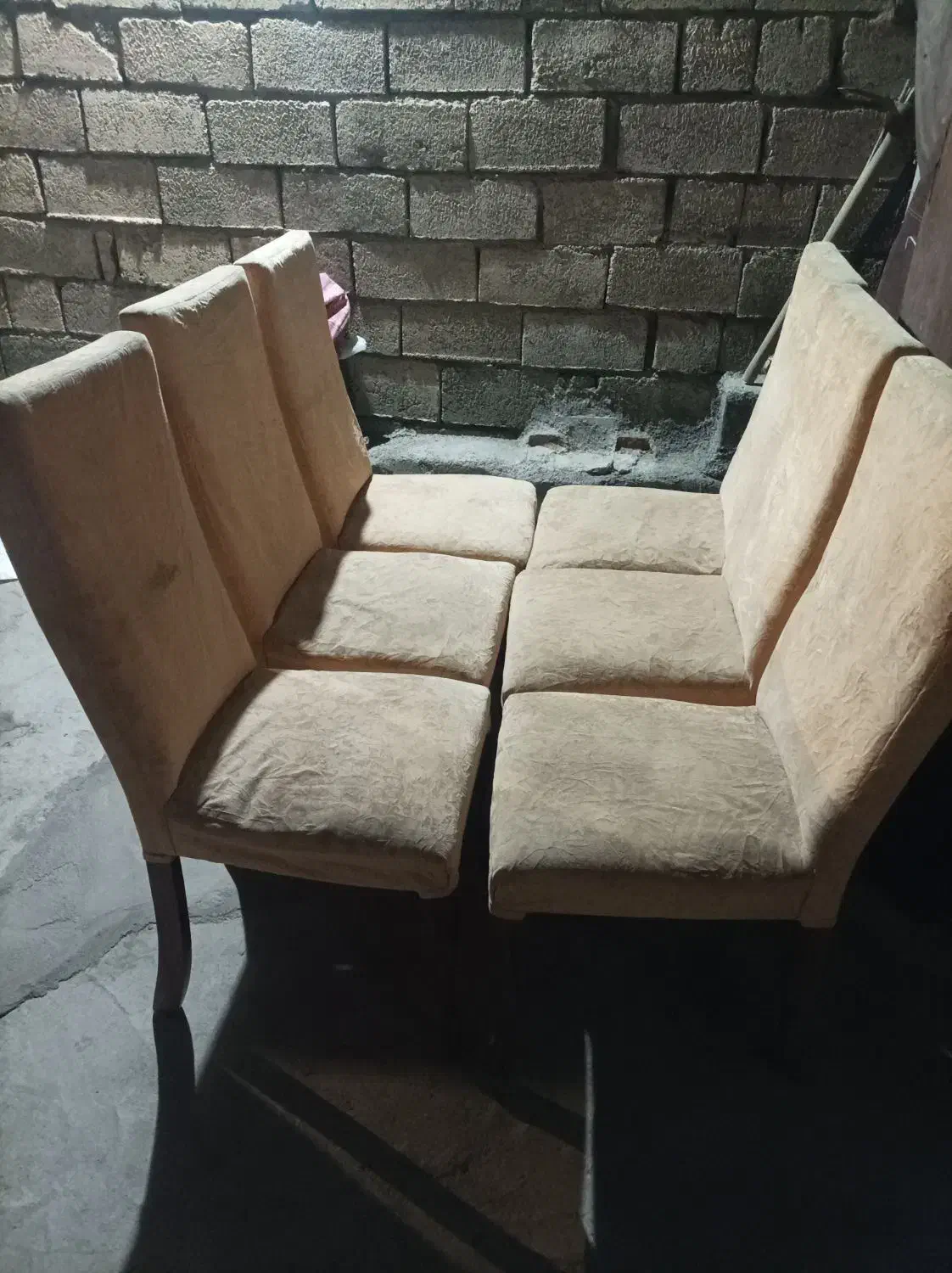 مبل صندلی|میز و صندلی غذاخوری|زیویه, |دیوار