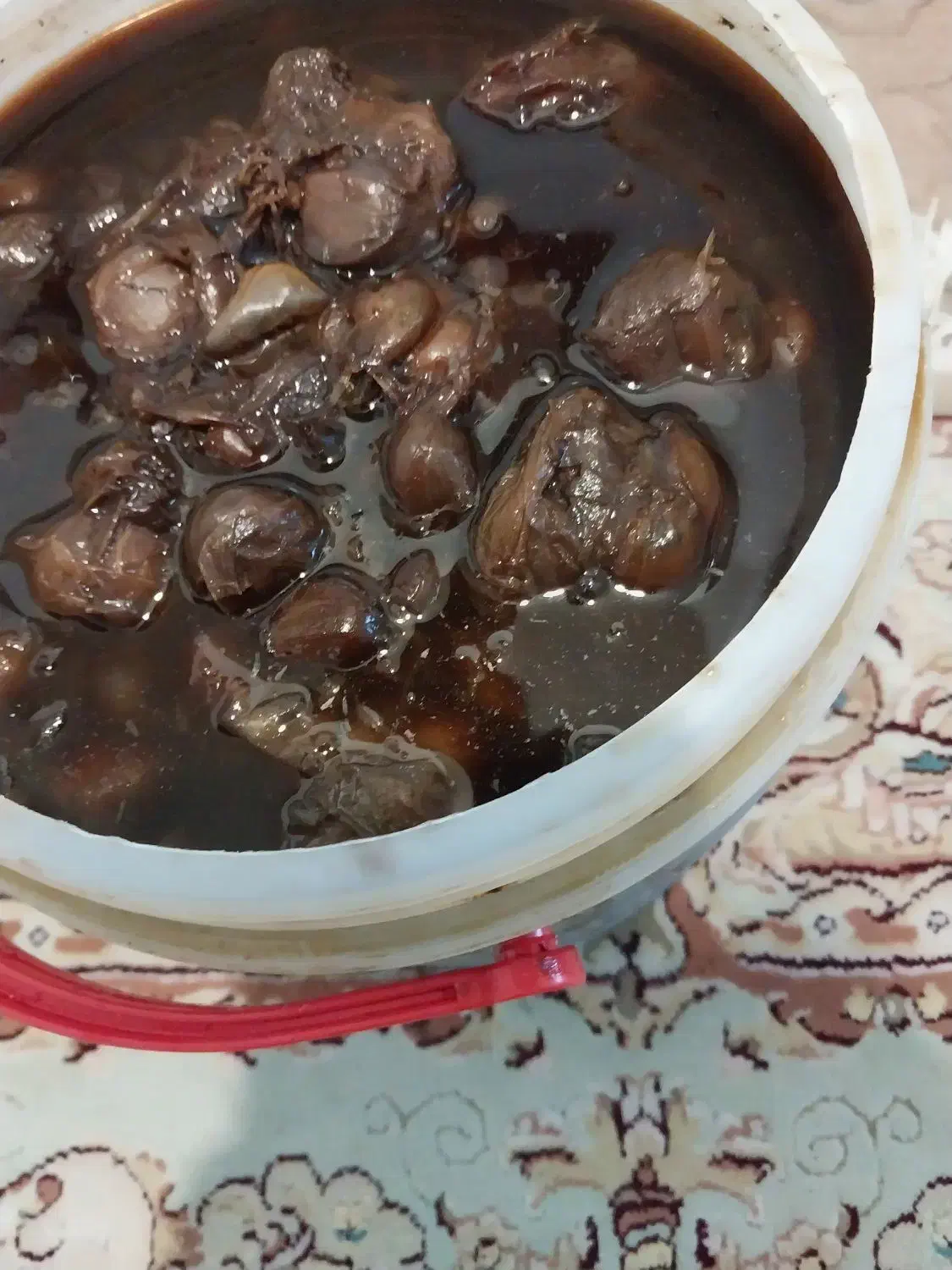 سیرترشی ۷ساله|خوردنی و آشامیدنی|قم, قلعه عموحسین|دیوار