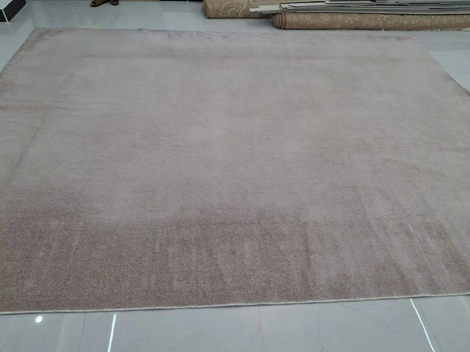 پالاز موکت|موکت|ابهر, |دیوار