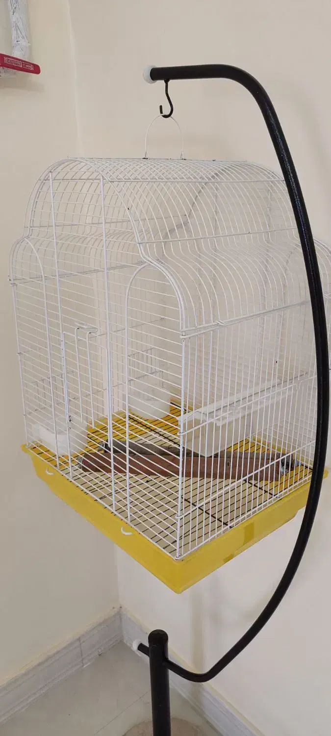 قفس پرنده|لوازم جانبی حیوانات|شیراز, شهرک بهار|دیوار