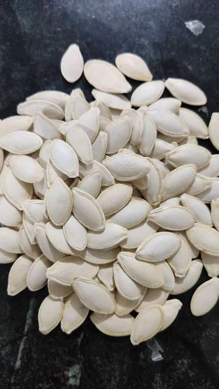 فروش 400کیلو تخمه کدو گوشتی|خوردنی و آشامیدنی|بهمن صغاد, |دیوار