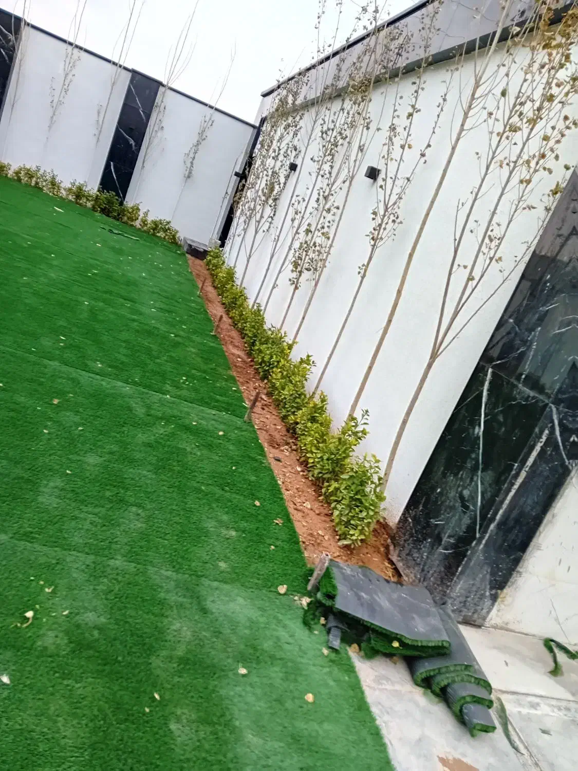 خدمات باغبانی به صورت کاملا حرفه ای|خدمات باغبانی و درختکاری|تهران, پرستار|دیوار