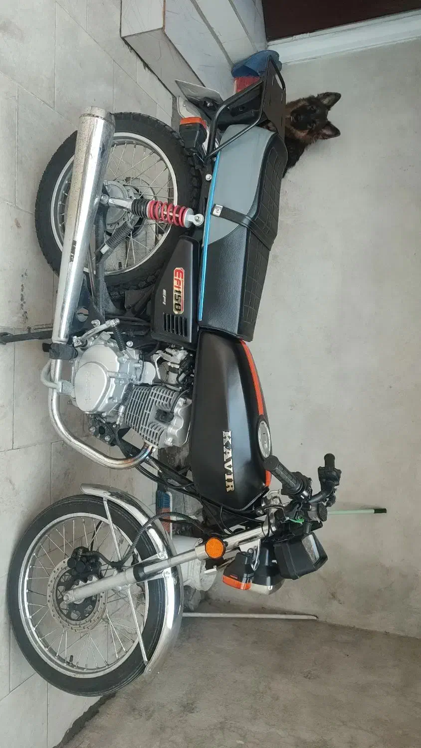 موتور سیکلت کویر 150|موتورسیکلت|بندر انزلی, جهانگانی|دیوار