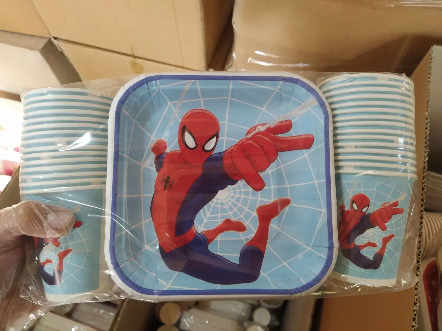 تم تولد|ظروف نگهدارنده، پلاستیکی، یکبارمصرف|شیراز, شهرک گلستان|دیوار